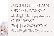 Hellen - Serif Font, a Serif Font by Genilson Santos (Thumbnail 2 of 21)