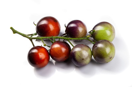 Assorted tomatoes and vegetables isolated on white background. P
