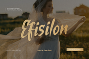 Losiento | Brush Handwritten Font, a Handwritten Font by Denustudios (Thumbnail 3 of 15)