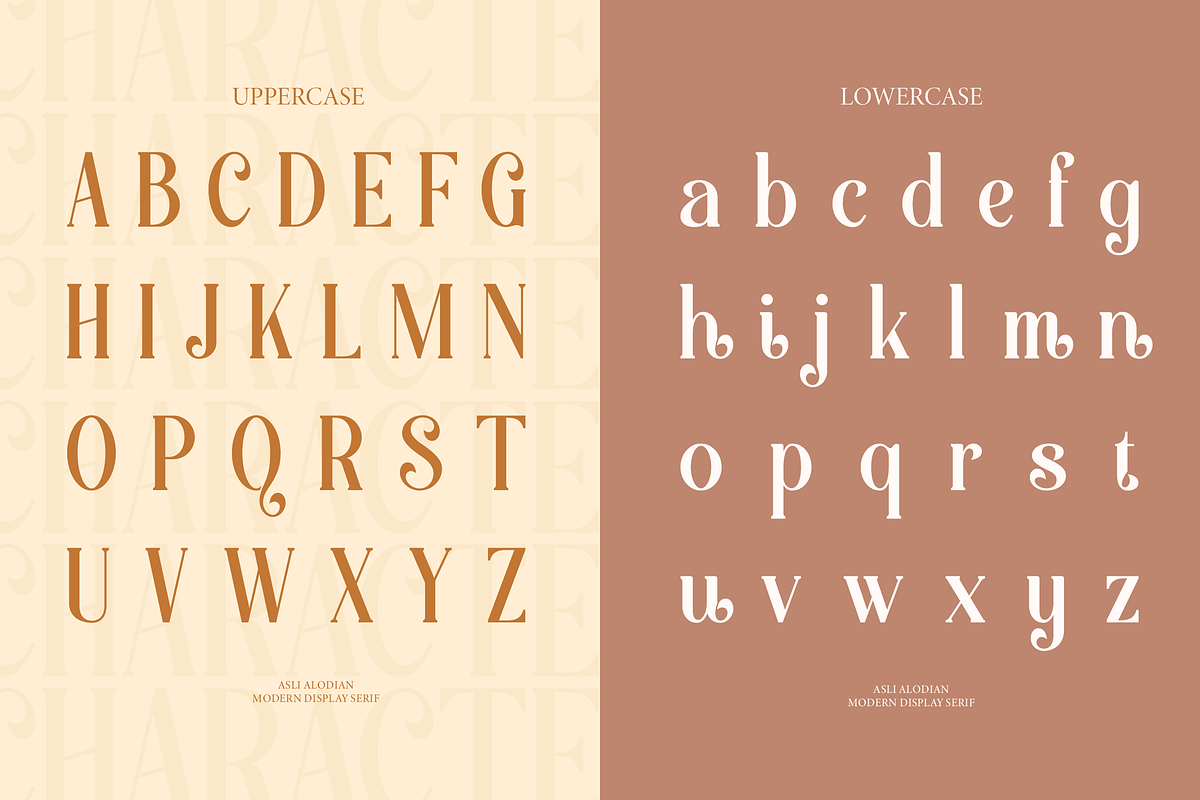 Aslin Alodian | Modern Display Serif, a Serif Font by Denustudios (Photo 13 of 15)