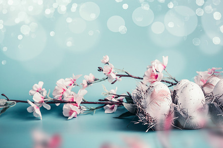 Easter background in pastel color stock photo containing background and banner