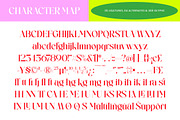 Runing Smile Serif Display, a Serif Font by timelesstype.co (Thumbnail 9 of 10)