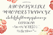 Storybook Calligraphy Script, a Script Font by Emily Spadoni (Thumbnail 10 of 10)