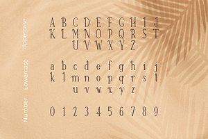 Canabi A Classic Serif Font