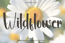 Wildflower