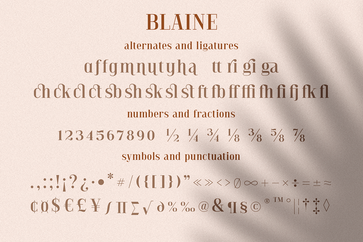 Blaine, a Serif Font by Larin Type Co. (Photo 11 of 11)