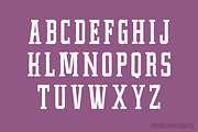 Fairtrade, a Slab Serif Font by Fresh Pressed Fonts (Thumbnail 4 of 5)