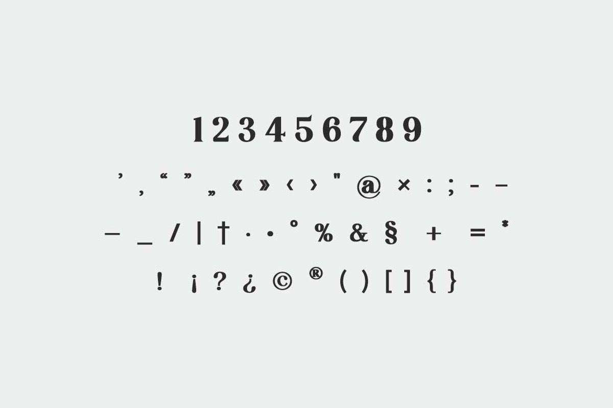 Retrosome Retro Serif Display Font, a Serif Font by UICreative (Photo 12 of 13)