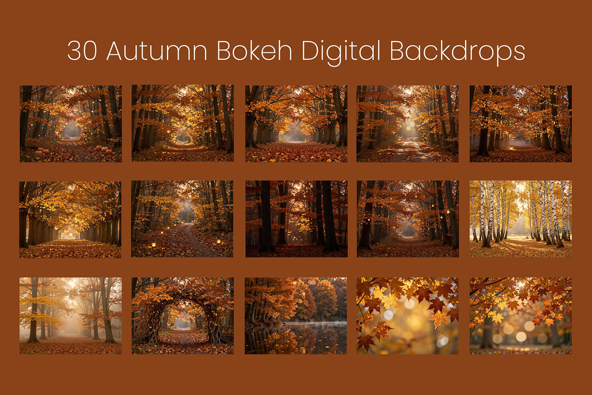 30 Autumn Bokeh Digital Backdrops, a Background Graphic by 3Motional (Photo 9 of 18)