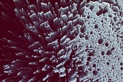 Data Distortion, a Texture Graphic by RuleByArt (Thumbnail 3 of 6)
