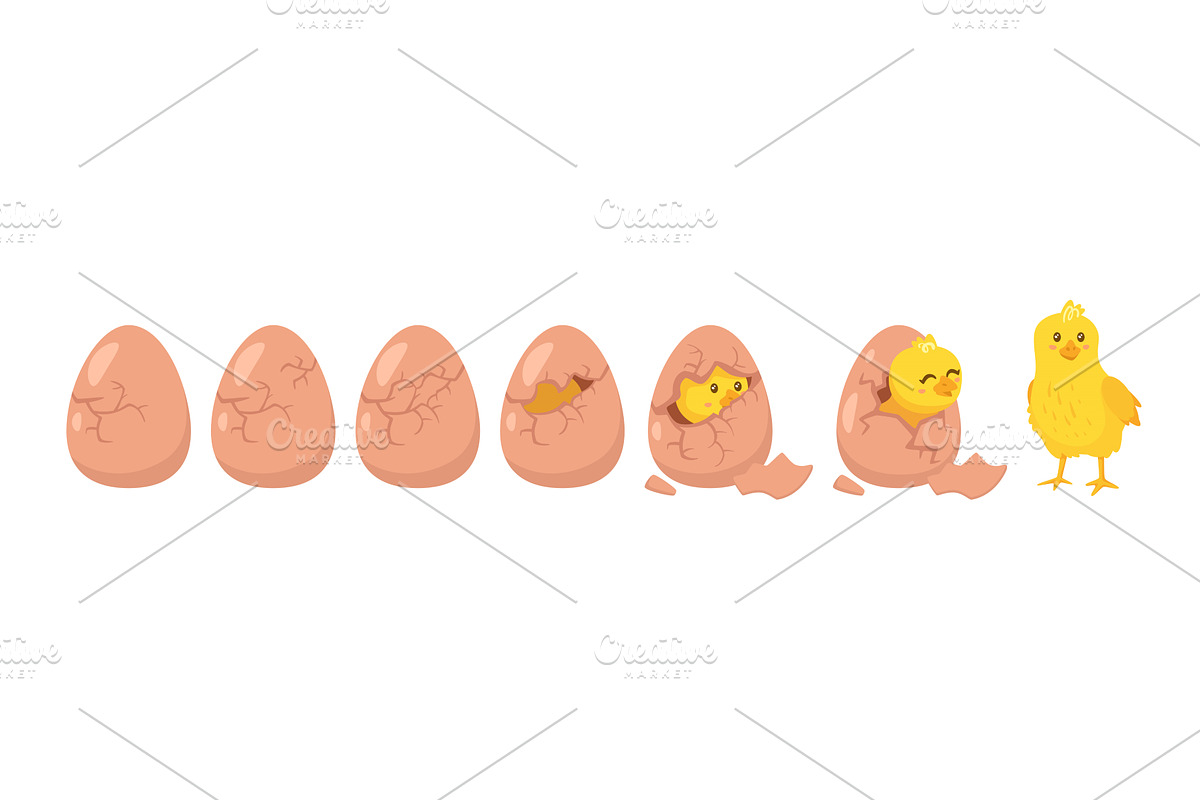 Hatching process., an Animal Illustration by Cartoon time!
