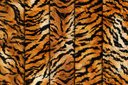 Realistic Tiger Fur Print Texture, a Pattern Graphic by Artonix (Thumbnail 2 of 5)