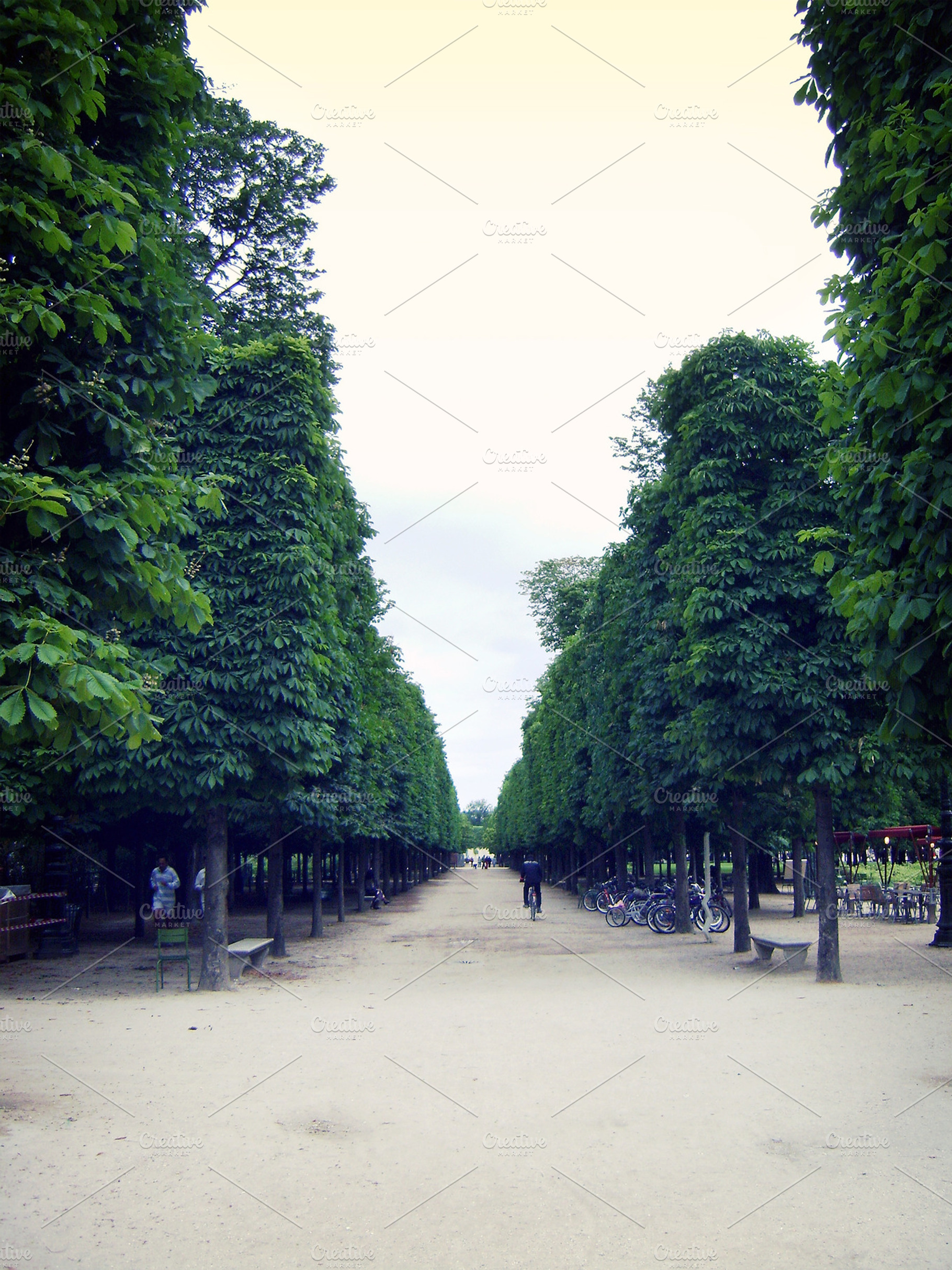 Jardin Du Luxembourg Paris