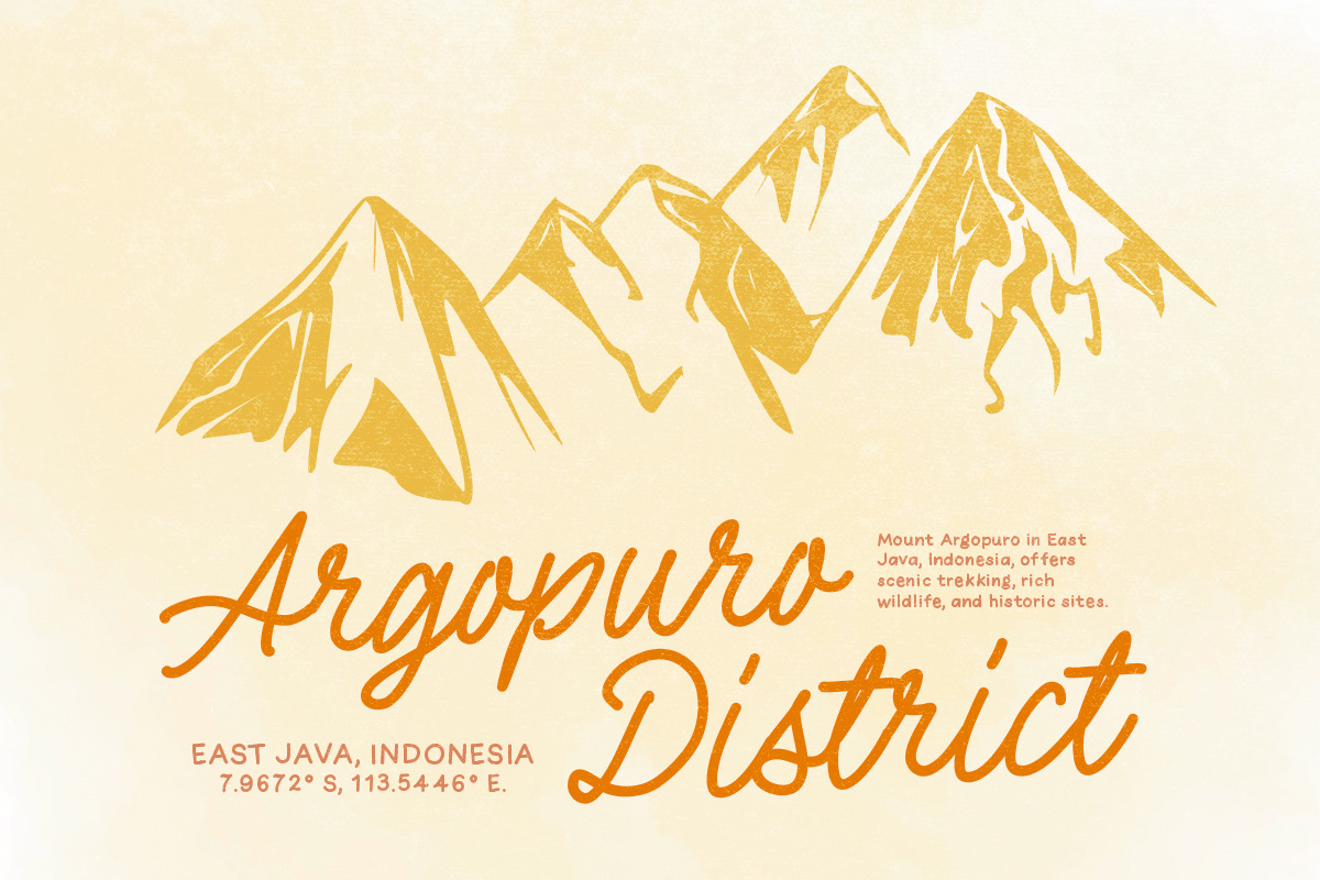 Wonder Nature - Monoline Font Duo, a Script Font by Sarid Ezra (Photo 7 of 9)