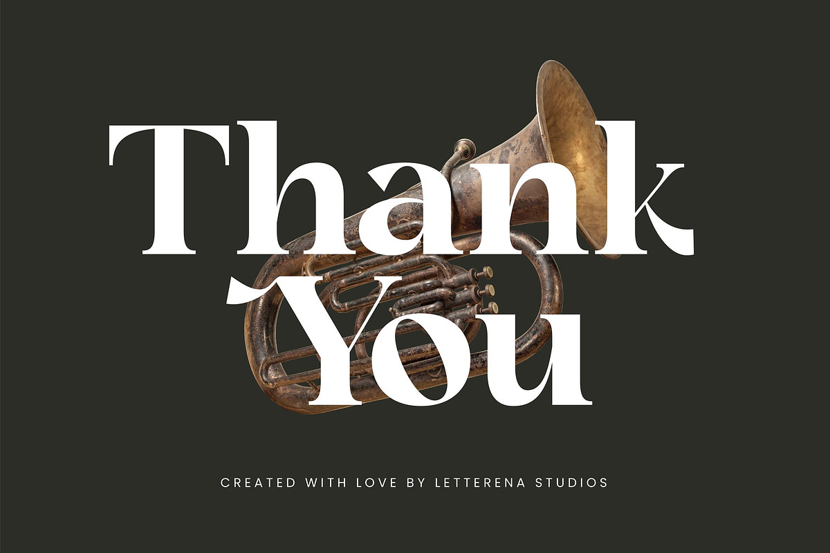 Angfia Relaftio Modern Serif Font, a Script Font by Letterena Studios (Photo 15 of 15)