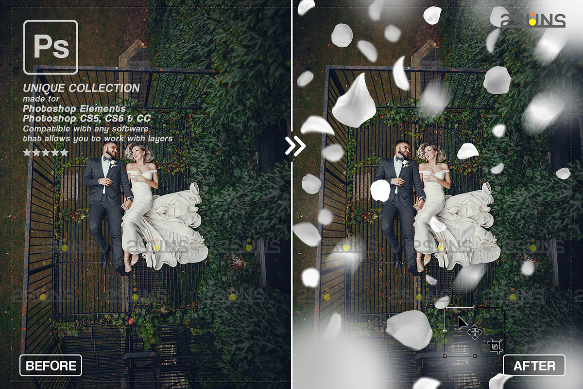 White Rose Petals photo overlays, an Object Graphic by 2SUNS (Photo 8 of 9)