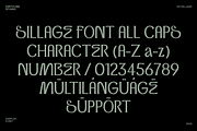 Dx Sillage Elegant Serif Font, a Serif Font by Dirtyline Studio (Thumbnail 2 of 17)