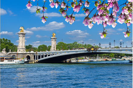 Bridge of Alexandre III in Paris, an Architecture Photo by Neirfy