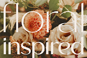 Roden, a Sans Serif Font by Larin Type Co. (Thumbnail 10 of 15)