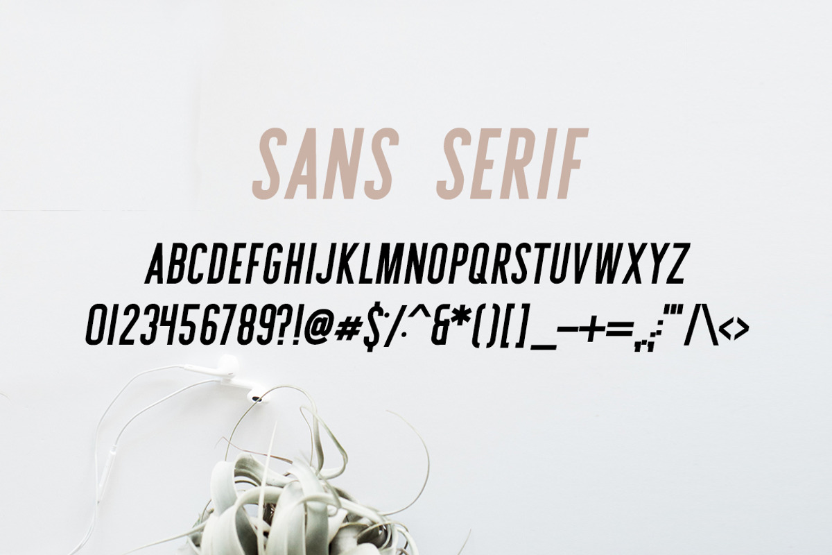 Sydney | Font Duo + 12 Free Logos, a Sans Serif Font by Jen Wagner Co (Photo 11 of 13)