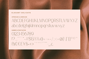 Delicate Elegance - Elegant Serif