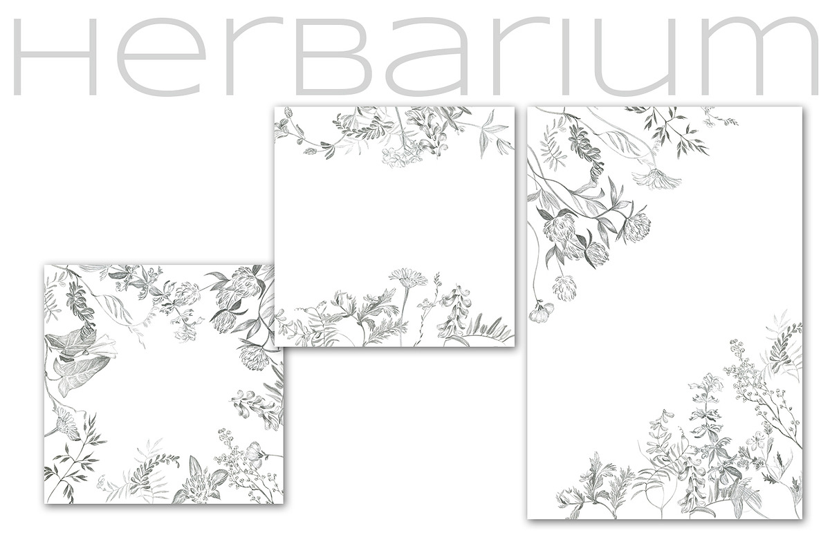 Herbarium. Pencil sketches, a Decorative Illustration by Love Watercolor Store (Photo 6 of 8)