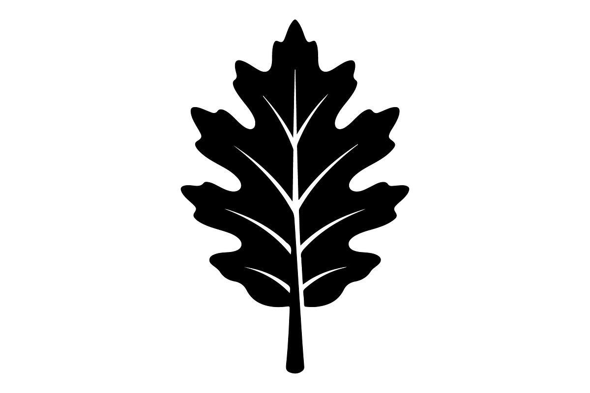 Maple Leaf Acorn Autumn, an Object Graphic by Gfx_Store (Photo 6 of 18)