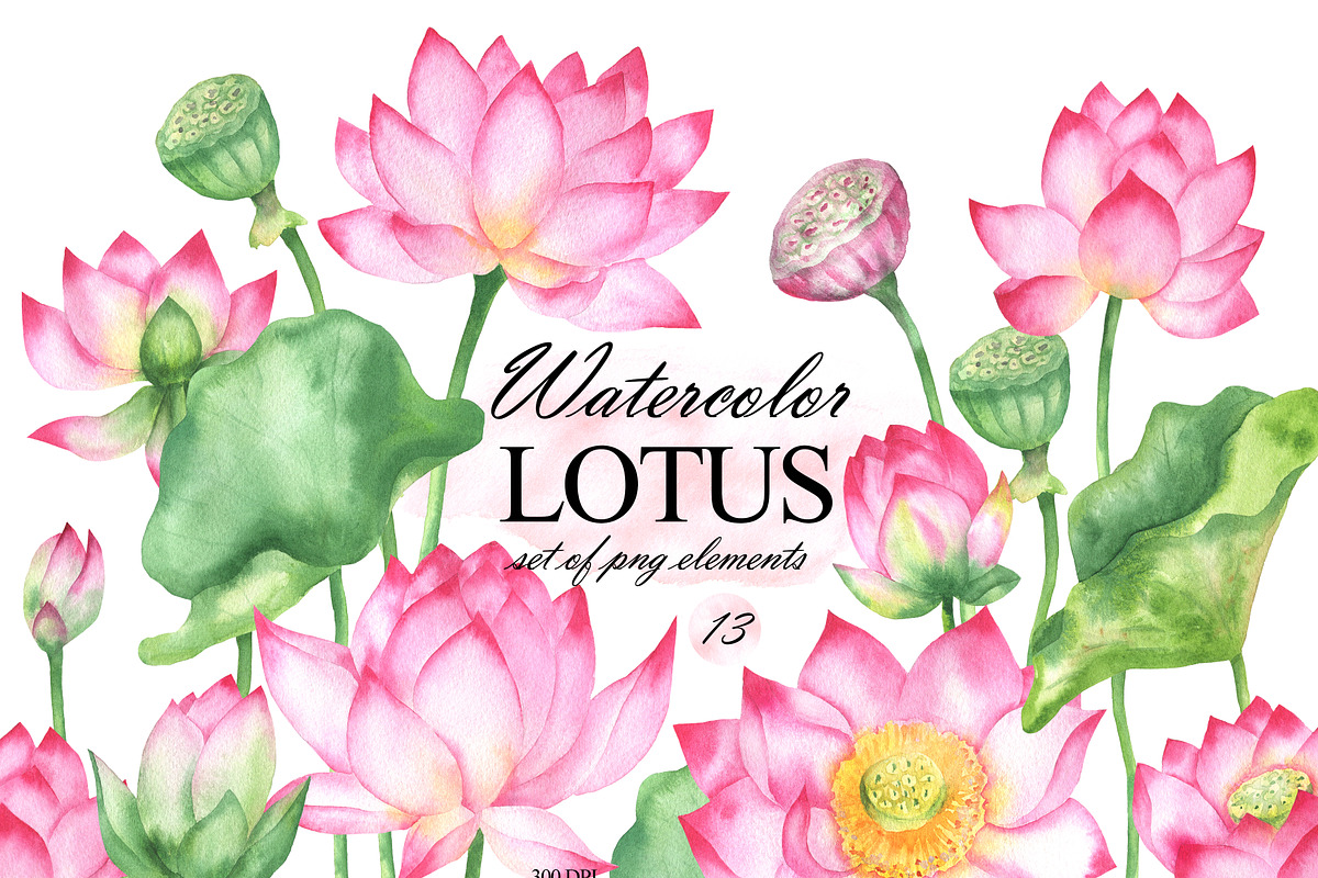 Watercolor lotus flower clipart, an Illustration by OlDm_Shop (Photo 1 of 10)