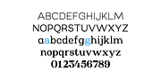 Oman, a Serif Font by Par Défaut (Thumbnail 3 of 12)