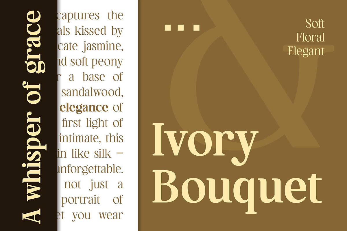Hagios - Serif Family, a Serif Font by Novitype (Photo 12 of 15)