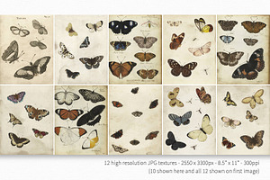 Vintage Butterflies Textures