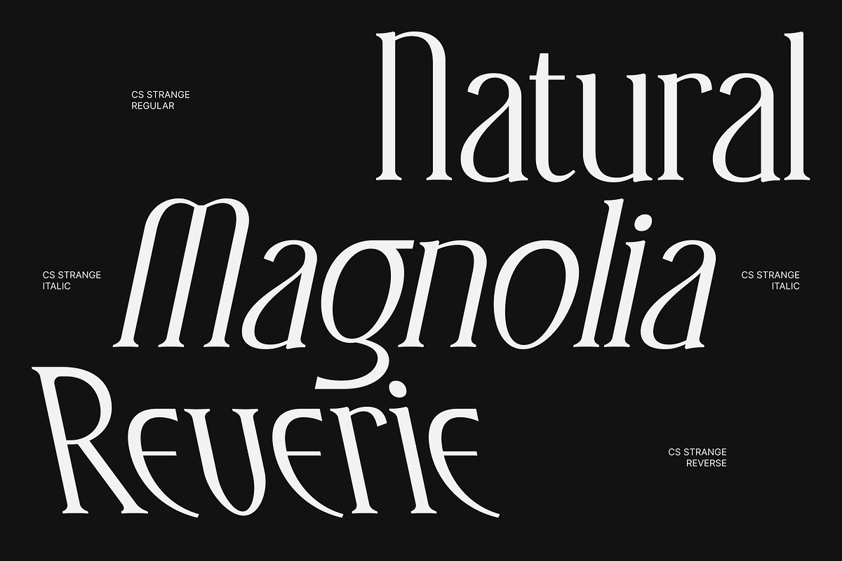 CS Strange – Modern Serif Font, a Serif Font by Craft Supply Co. (Photo 3 of 8)