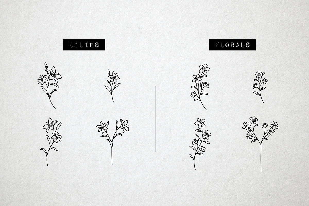 60 Flower and Floral Icons - Vol 2, an Outline Icon by Hatch Design Workshop (Photo 6 of 10)