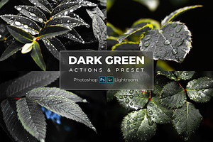 Lr Presets & Ps Actions Dark Green