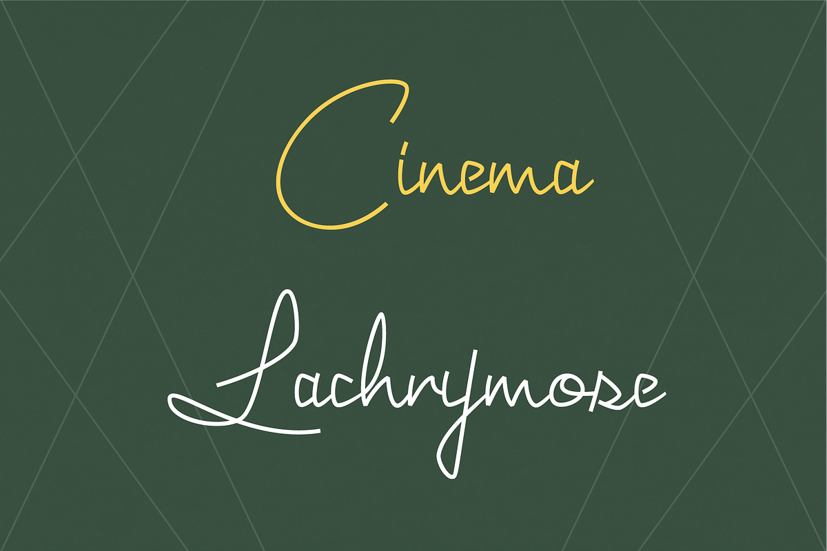 Joyeux Script, a Script Font by Elyas Beria Studio (Photo 12 of 12)