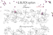 Magnolia Floral Design Pack, a Texture Illustration by JuDesign (Thumbnail 3 of 16)