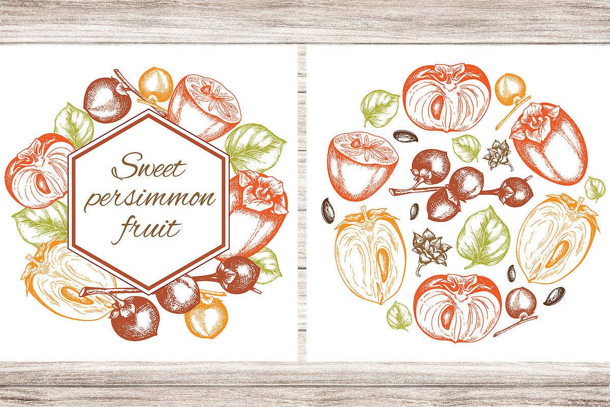 Sweet Persimmon Fruit Vintage Kit, a Food Illustration by Artspace (Photo 4 of 6)