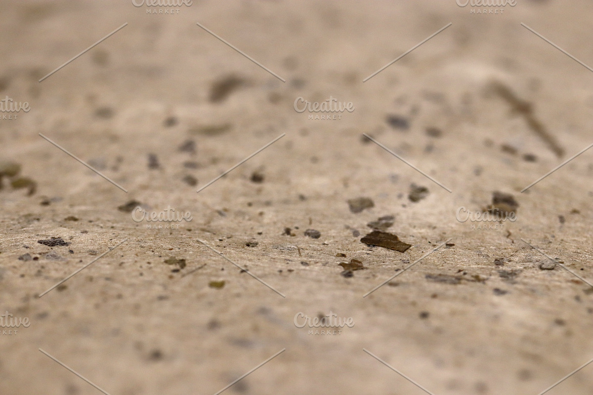 Close-up of a textured paper texture surface with small debris., a Texture Graphic by Textures & Backgrounds