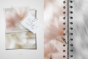 Ethereal Floral Backgrounds Bundle, an Abstract Photo by Allure Art (Thumbnail 16 of 26)