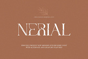 Nerial || Modern Stylish Serif Font, a Serif Font by Ermedia Studio (Thumbnail 1 of 10)