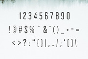 Clarra Sans Serif Font Family, a Sans Serif Font by Creativetacos (Thumbnail 3 of 6)