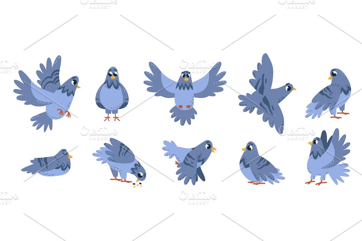 Cartoon pigeon. Isolated birds, a Graphic by LadadikArt