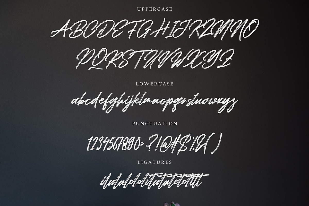 Bhatera Black Friday, a Script Font by pineungtype (Photo 5 of 8)