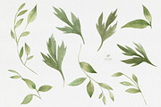 Floral Clipart. Anemones watercolor, an Illustration by Colibri Watercolor (Thumbnail 3 of 3)