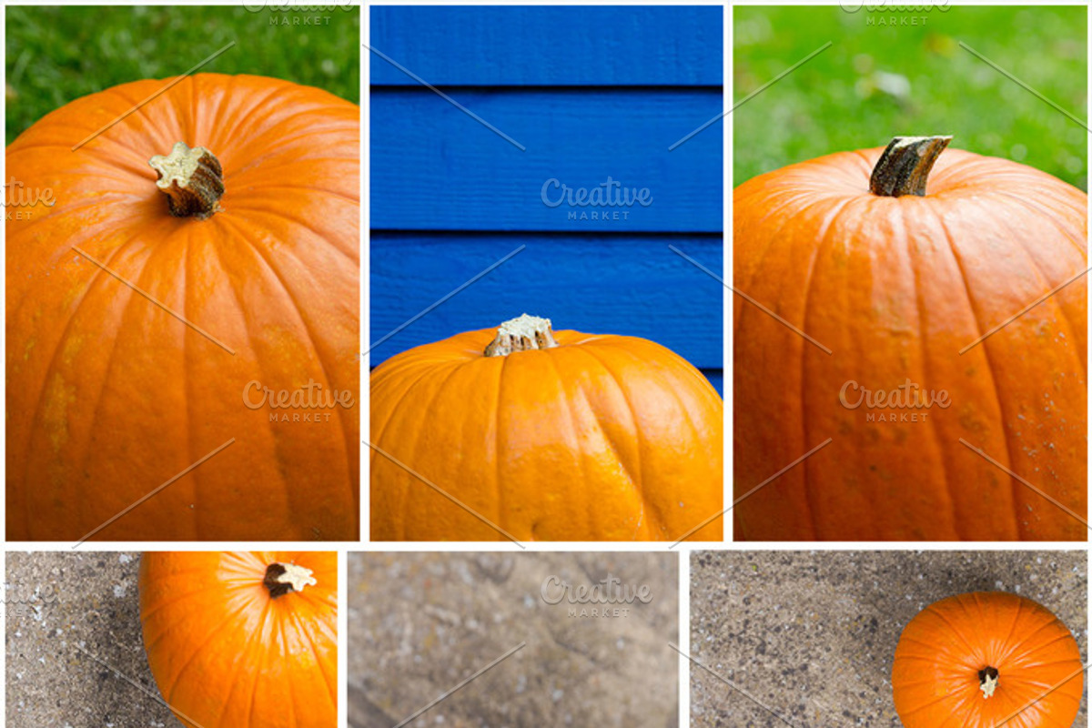 Feeling Pumpkin, a Templates & Theme by Feelings (Photo 2 of 5)
