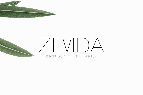 Zevida Sans Serif Font Family preview 8