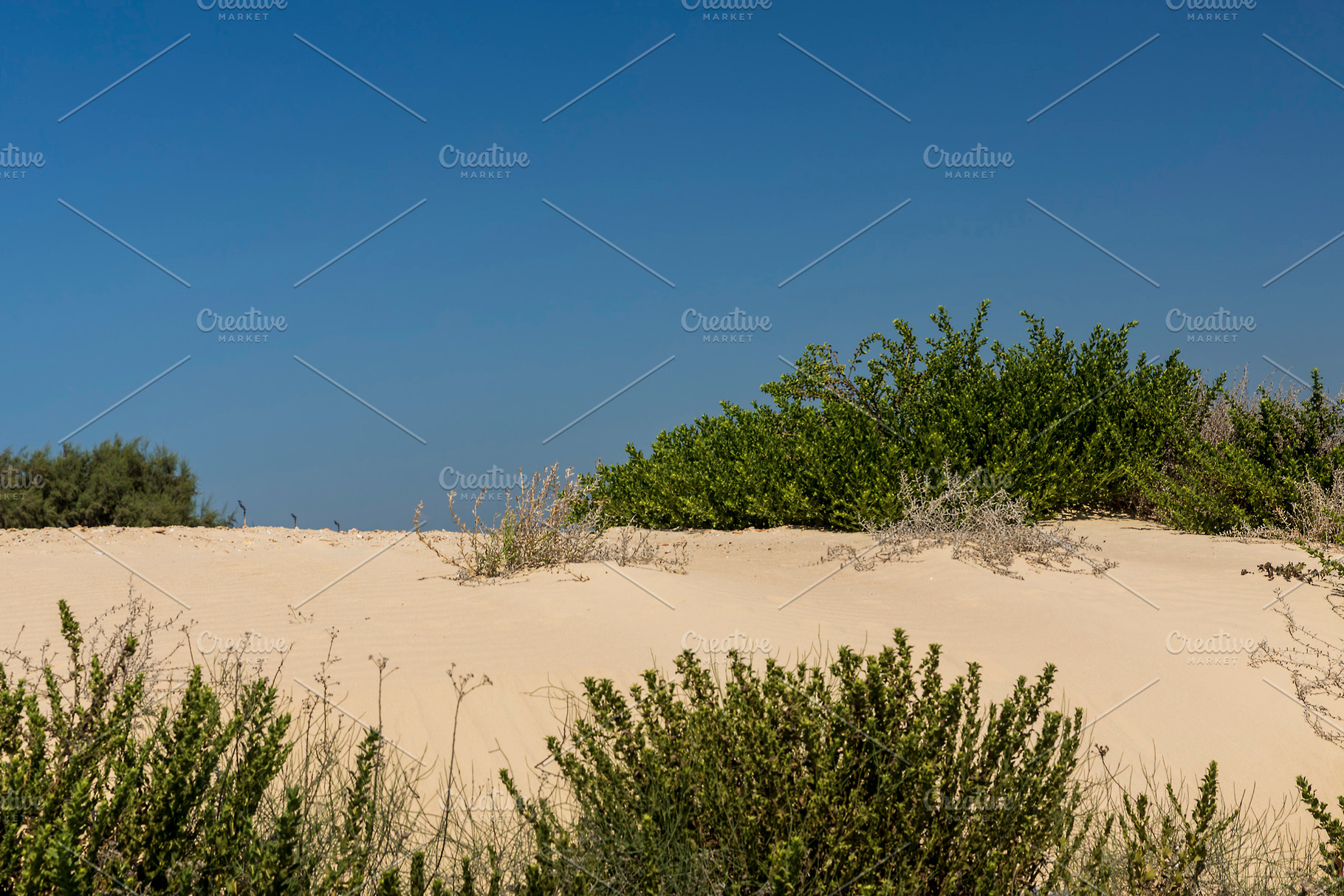 Caesarea Beach Dunes, a Nature Photo by Imaginarium