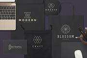 1500 Logos Bundle Collection, a Branding & Logo Template by Graphicdome (Thumbnail 81 of 185)