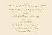 Rumaysa Chambert Luxury Script, a Serif Font by Storytype Studio (Thumbnail 13 of 16)