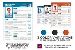 Clean Professional Resume